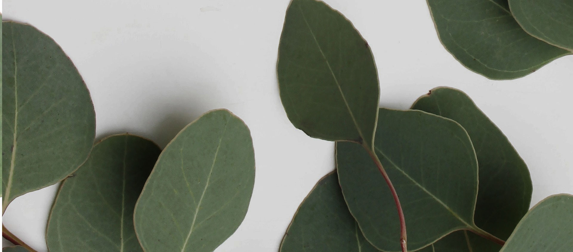 Взыскание ущерба от экологических правонарушений в Алхан-Юрте